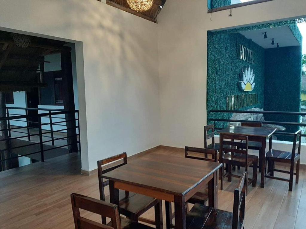 Hotel Margarita 巴卡拉尔 外观 照片